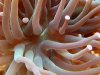 saltwater 262_1_1_1.jpg