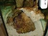 DSC00168.jpg