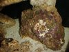 DSC00167.jpg
