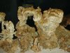 DSC00166.jpg