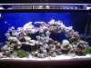 new arrangement 001_1_1_1.jpg