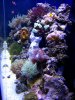 new arrangement 007_1_1.jpg