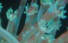 DSC_0152-c.jpg