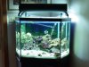 40 gallon 7-08.jpg
