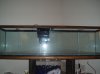 Hooch's pics. 331.jpg