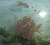 100_0589new.jpg