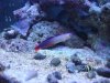DSC03248.JPG