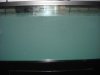 DSC03232.JPG