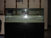 DSC03245.JPG