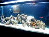 clear water.JPG