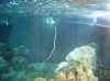 DSC01539.JPG