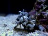 saltwater 270_1_1.jpg