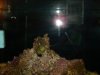 DSC00059.JPG