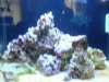 DSC00066.JPG