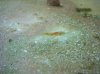 100_00011.jpg