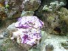 DSC00995.jpg