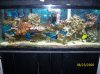 Picture 017.jpg