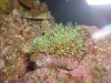 DSC00086.JPG