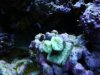 DSC00095.JPG