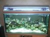 marine tank 1.jpg