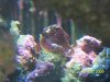 100_0885small.jpg