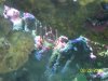 100_0889 small.jpg
