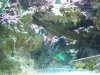 100_0890 small.jpg