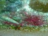 28082008134.jpg