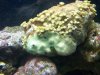 100_0643.JPG