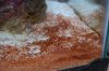DSC_0012b.jpg