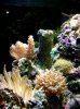 IMG_1703.JPG
