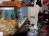 DSC02272.jpg