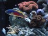 DSC01969a.jpg