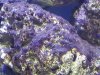 20130424_215226.jpg