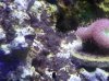 20130424_215256.jpg