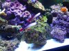 20130426_202429.jpg