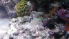 IMG_20130502_222335_936.jpg