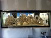 20130508_174321.jpg