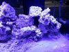 20130508_192350.jpg