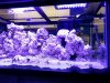 20130508_194455.jpg