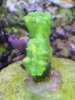 20130512_211225.jpg