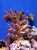 20130512_211550.jpg