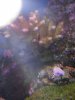 20130512_211206.jpg