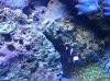 20130512_161538.jpg