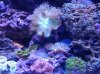20130512_160924.jpg