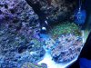 20130512_161545.jpg