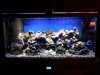 20121112_170530.jpg