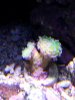 20130517_130232.jpg