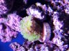 20130517_130256.jpg