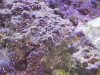20130523_174407.jpg